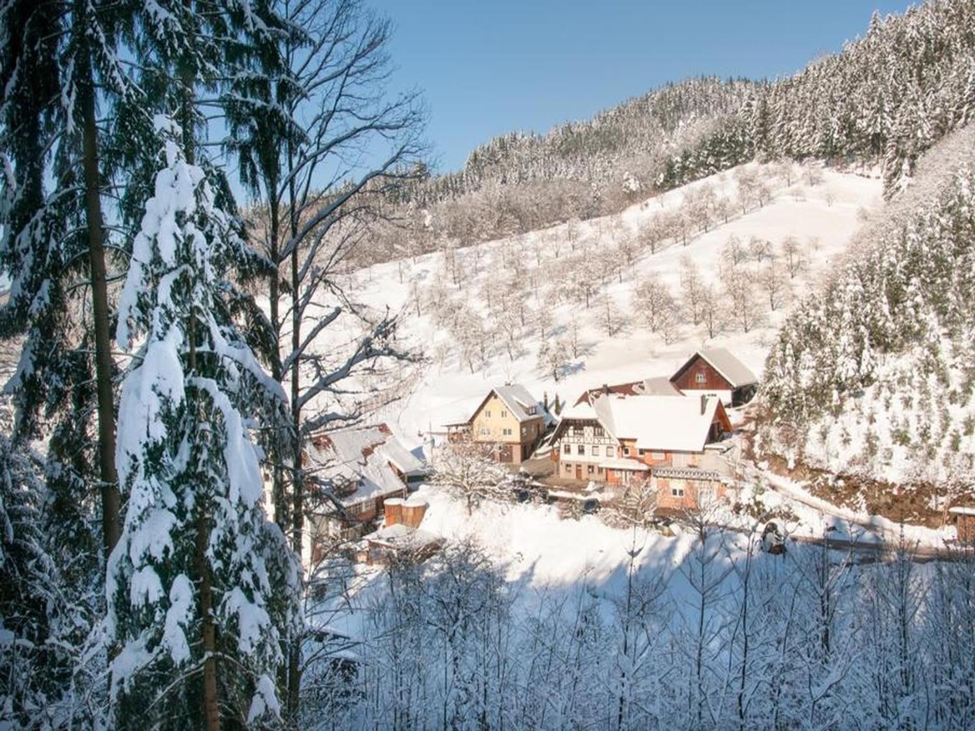 Ferienwohnung Schneckenhus Lautenbach Exterior foto
