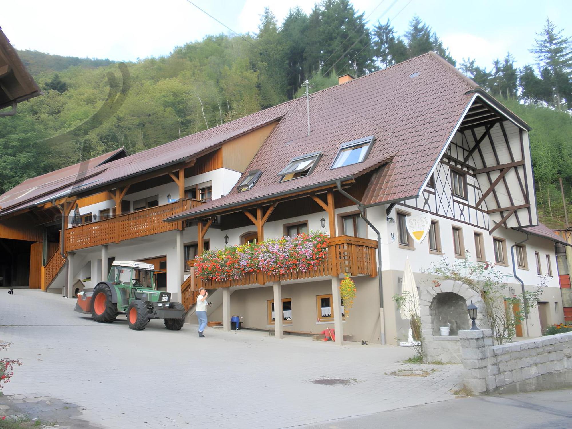 Ferienwohnung Schneckenhus Lautenbach Exterior foto